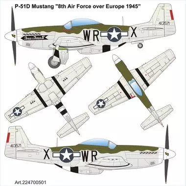 NORTH-AMERICAN P-51D MUSTANG "Texas-Terror-IV" 8th Air Force Europe 1945, Plastikbausatz
